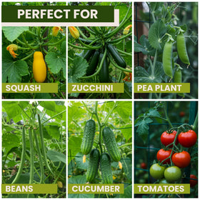 Zip ties from K-Brands offer extra fastening for dense climbing crops.
