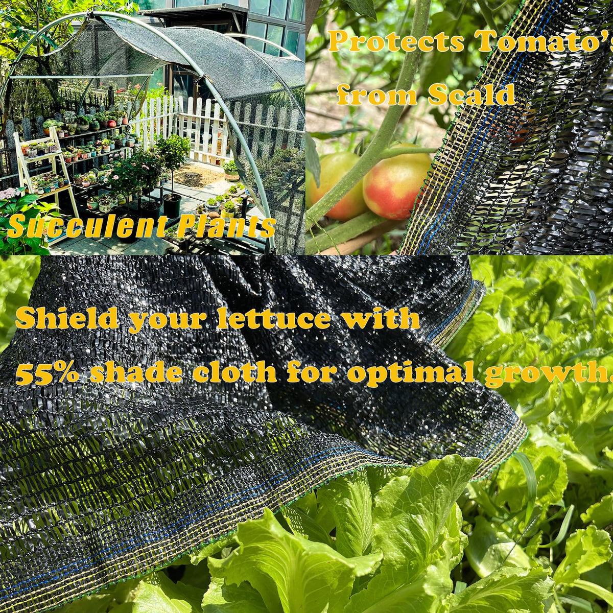 KAAOGITY shade cloth helps cucumbers tomatoes keep producing in heat.