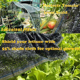 KAAOGITY shade cloth helps cucumbers tomatoes keep producing in heat.