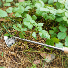 Kaimfdg lever-base weeder provides precise weed extraction