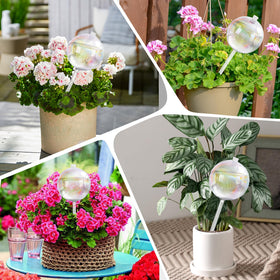 Kaimfdg versatile setup for hanging and patio plants using watering globes.