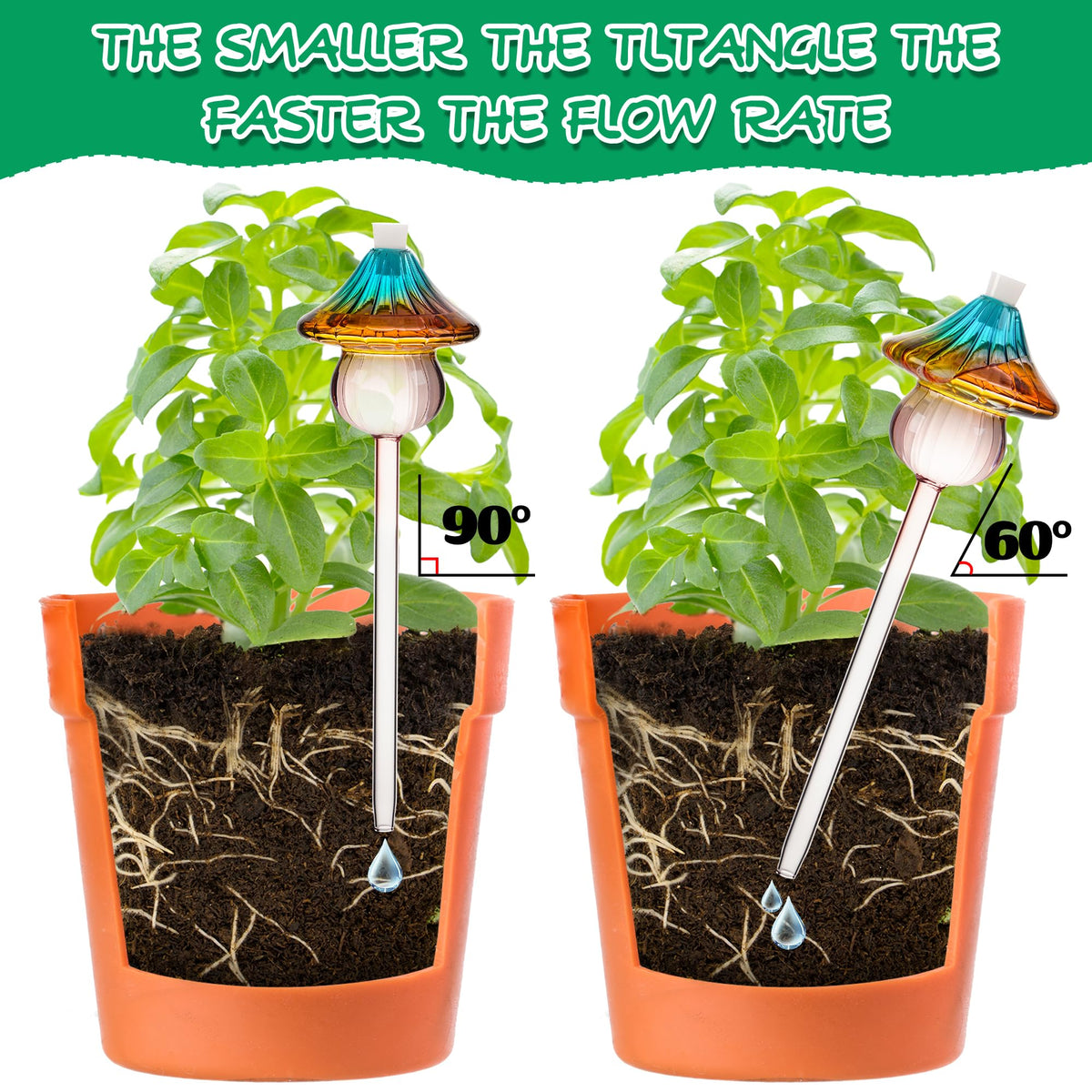 Kaimfdg indoor plants display stays healthy with steady moisture support.