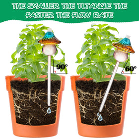 Kaimfdg indoor plants display stays healthy with steady moisture support.