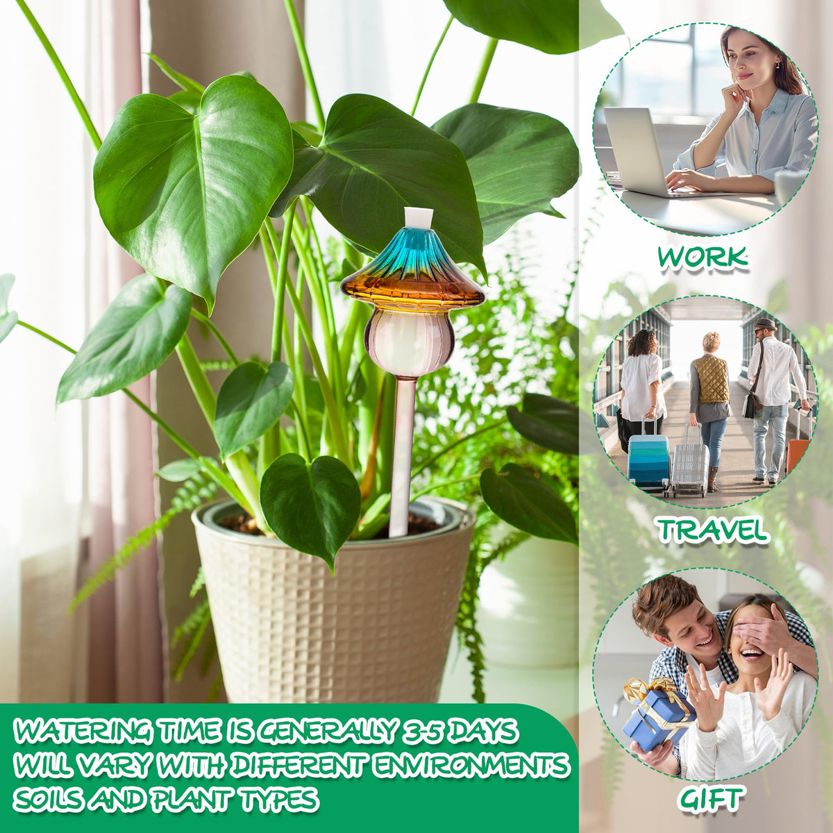 Kaimfdg travel-friendly globes keep plants hydrated away from home.