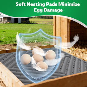 Kaipeia nesting pad in coop with hens for comfortable laying.