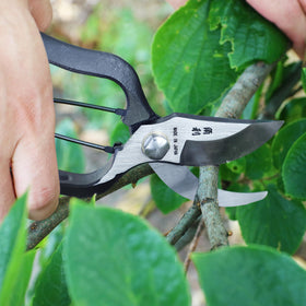 KAKURI bypass pruner handling dense branches with ease.