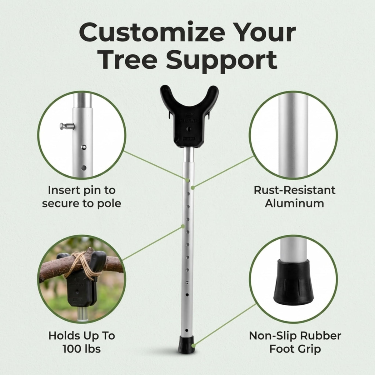 Kalinar citrus tree support helps guide growth