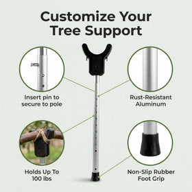 Kalinar citrus tree support helps guide growth