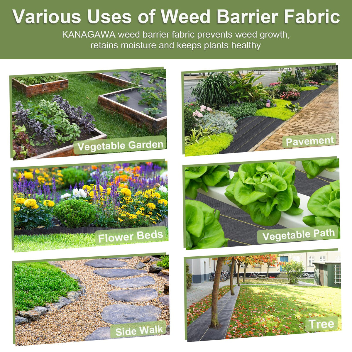 KANAGAWA weed barrier around trees and shrubs supports neat landscaping.