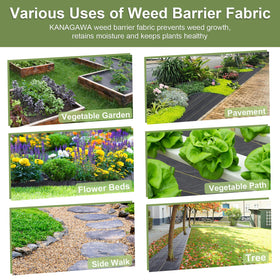 KANAGAWA weed barrier around trees and shrubs supports neat landscaping.