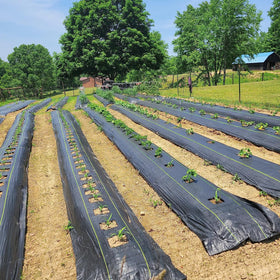 KANAGAWA weed barrier protects driveways and yard areas from weeds and soil movement.