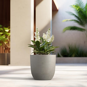 Kante planter close-up pores, macro shot, highlights authentic surface detail and texture.