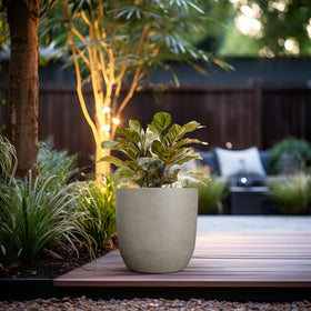 Kante on front steps, outdoor arrangement, demonstrates spacious growing area.