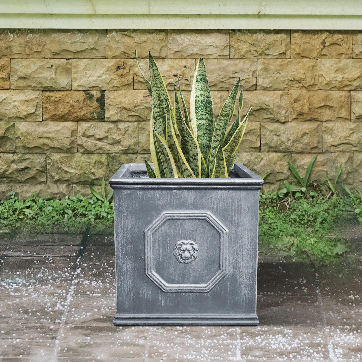 Kante English-style square planter complements entryways and garden patios