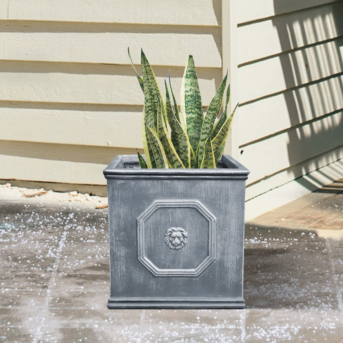 Kante front-porch focal point invites vibrant plant color and texture