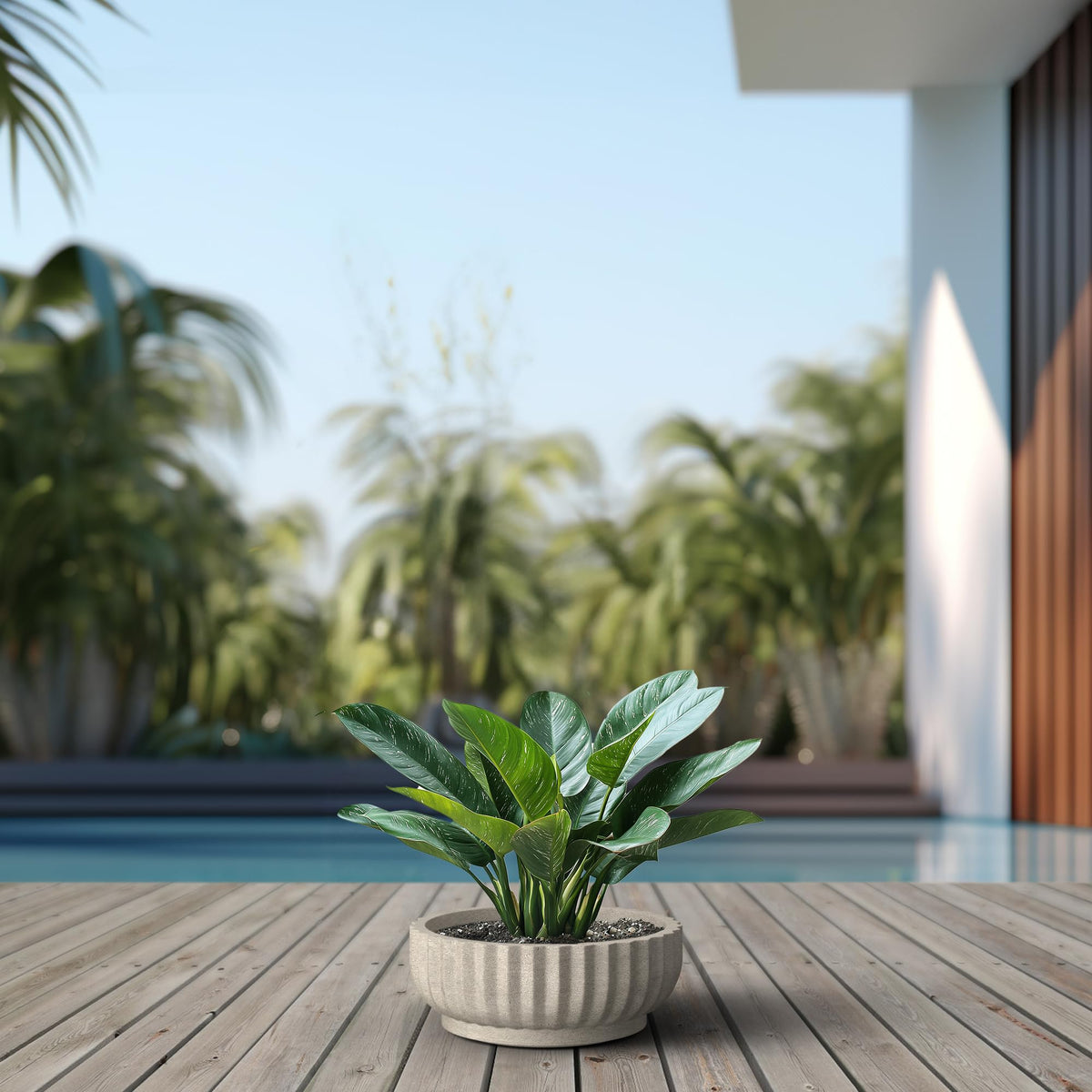 Kante large-capacity planter ideal for front steps and patios