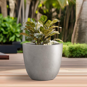 Kante large planter with succulents shows space for varied greenery