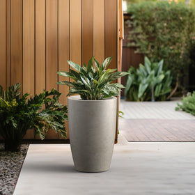 Kante large round planter designed for trees, succulents, and flowers.