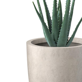 Kante outdoor indoor planter holds plants with ample growing space.