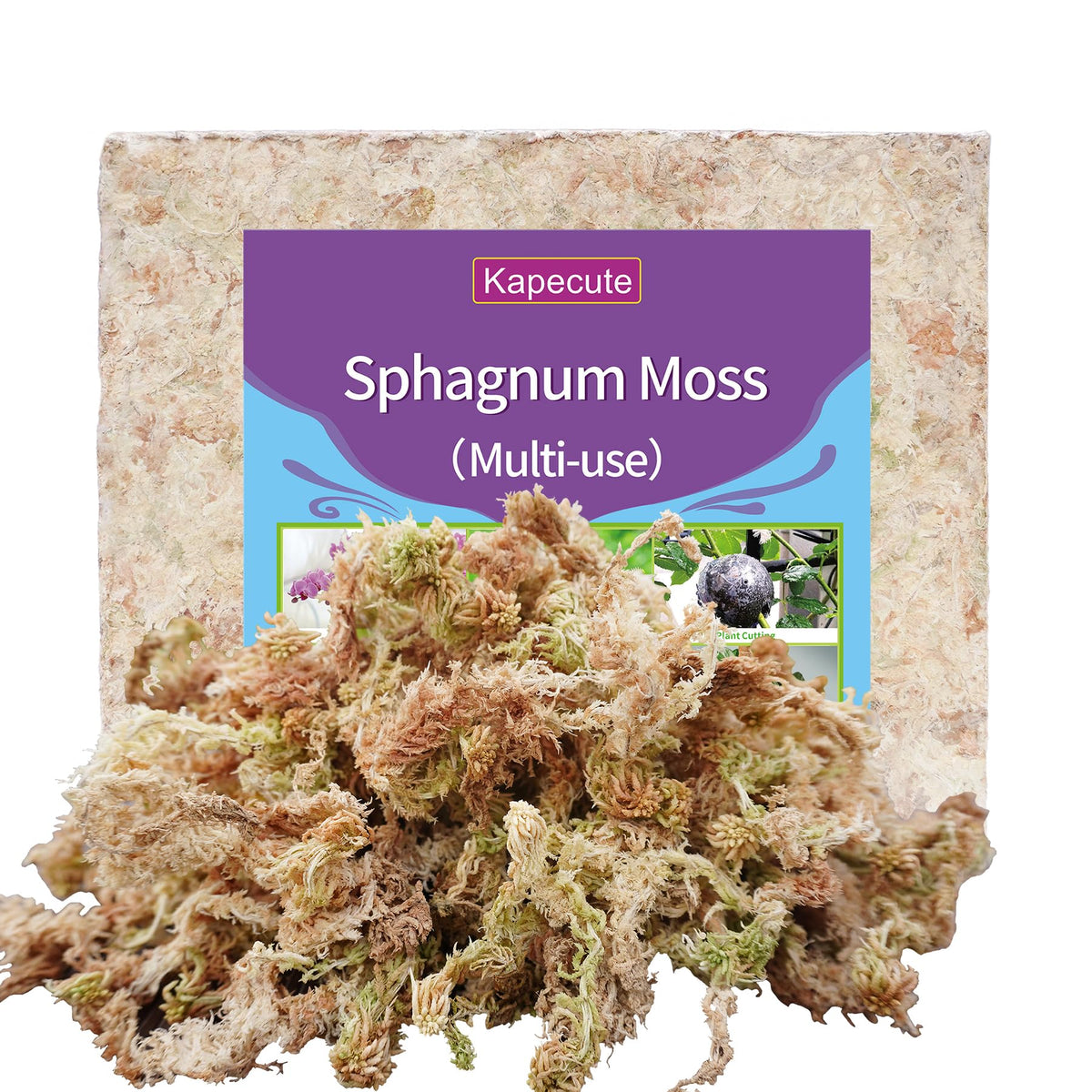 Kapecute sphagnum moss supports propagation with healthy root development and moisture retention