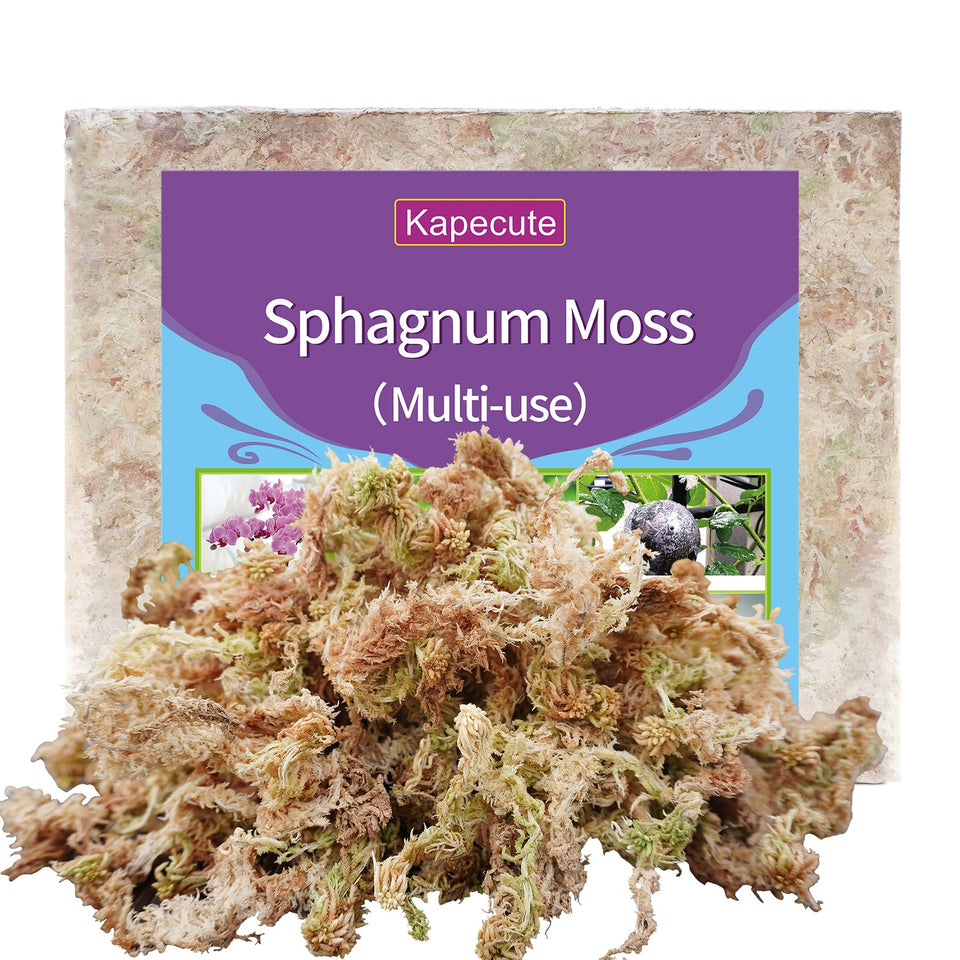 Kapecute Sphagnum Moss brick pack ready to hydrate for plant care.