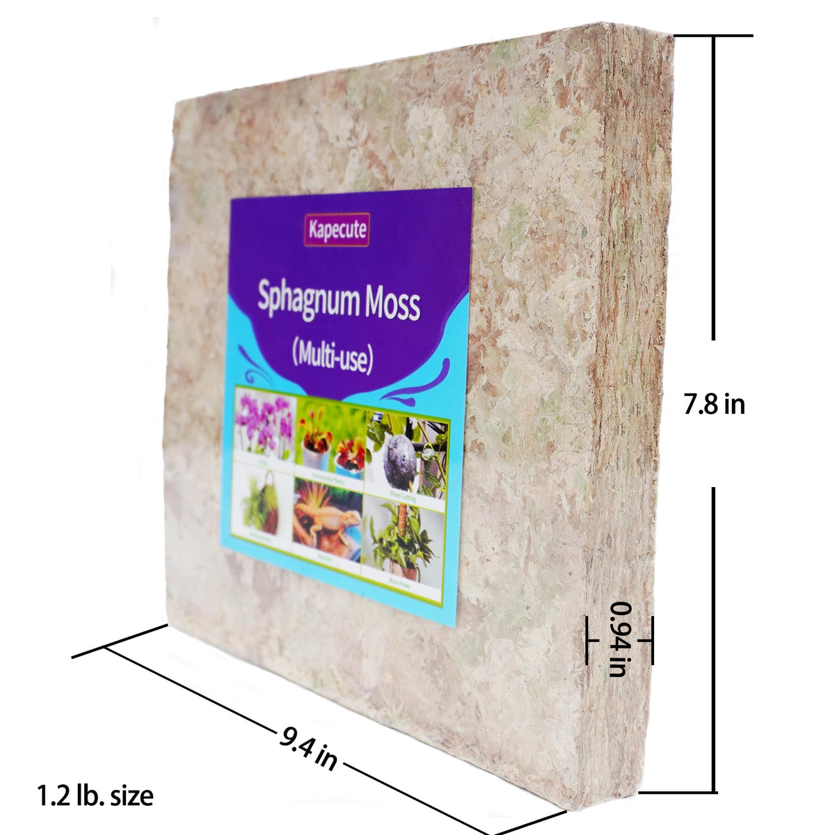 Kapecute Sphagnum Moss hand-picked from sustainable swamps and air-dried.