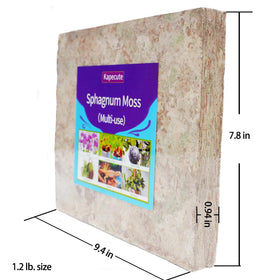 Kapecute Sphagnum Moss hand-picked from sustainable swamps and air-dried.