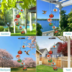 Kapihi backyard window garden setup invites birds to sip and observe.