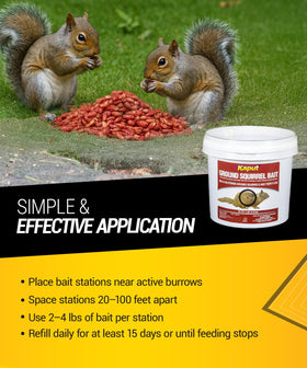 Kaput brand pest solution underscores reliability for outdoor use.