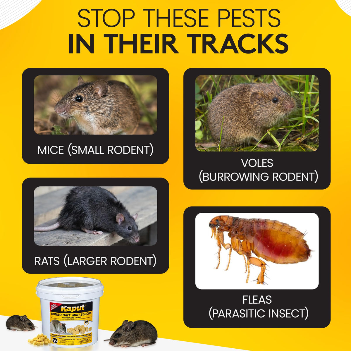 Kaput Combo Bait Mini Blocks for perimeter setup protecting structures from intruders.