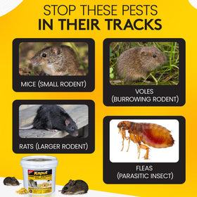 Kaput Combo Bait Mini Blocks for perimeter setup protecting structures from intruders.