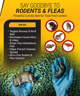 Kaput Combo Bait Pellets in tamper-resistant stations protect children and pets.