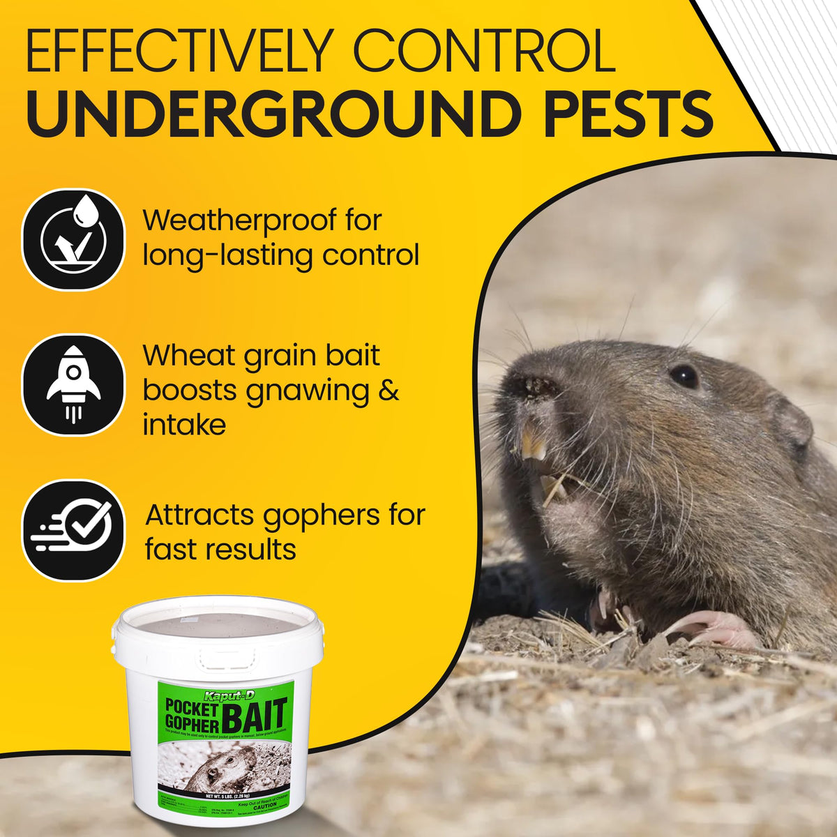 Kaput-D bait in tunnel placement demonstrating targeted gopher control.