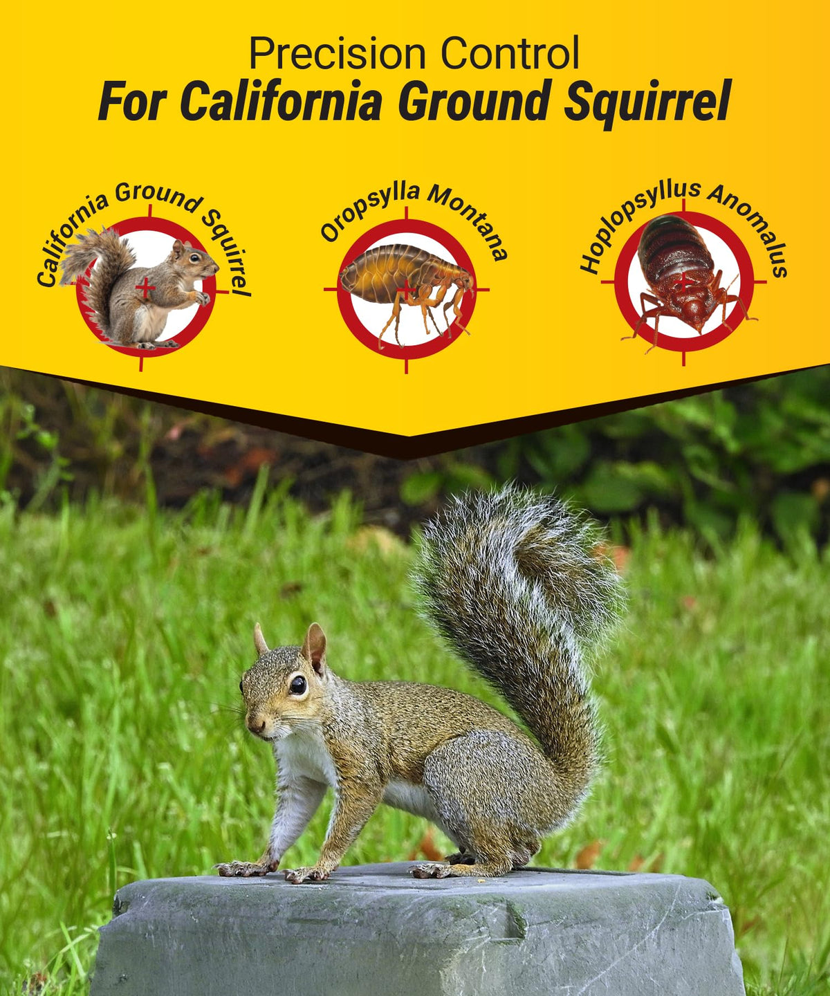 Kaput imidacloprid flea-control component protects yards from fleas.