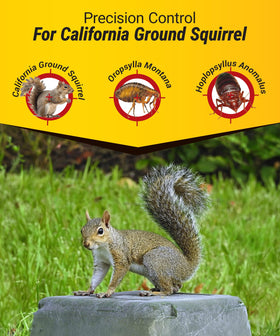 Kaput imidacloprid flea-control component protects yards from fleas.