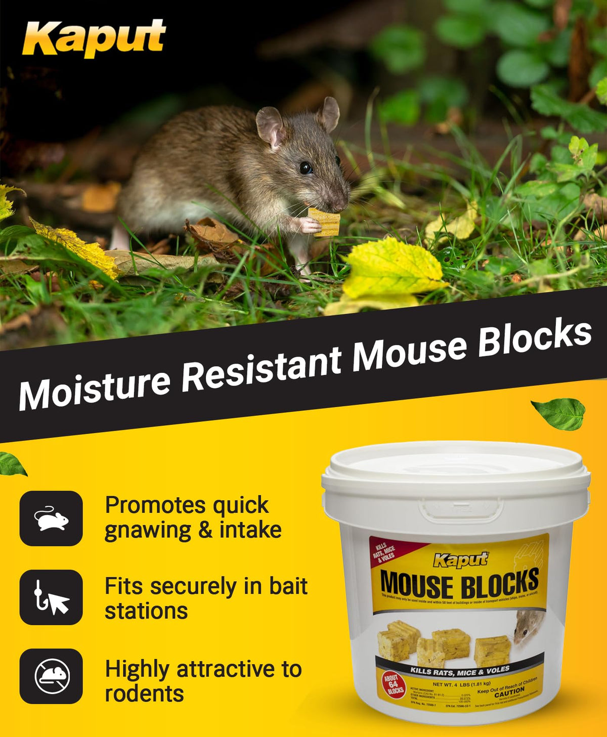 Kaput blocks along exterior perimeter deter rodents.