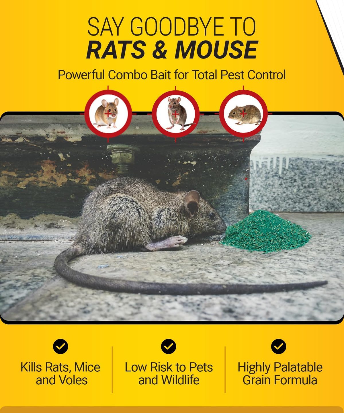 Kaput bait in kitchen area supports interior rodent control.