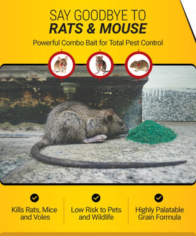 Kaput bait in kitchen area supports interior rodent control.