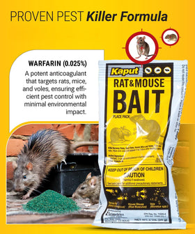 Kaput bait station placement demonstrates a tamper-resistant setup for targeted indoor control.