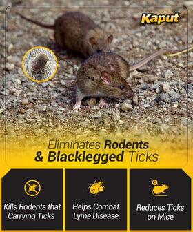 Outdoor use scene with Kaput bait blocks protecting sheds and garages.