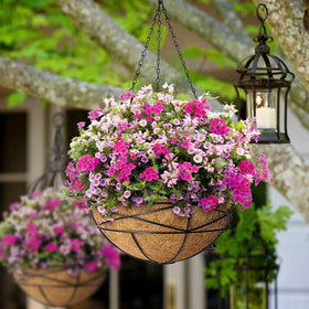 Karlliu natural coco coir liner for hanging baskets provides sturdy round shape.