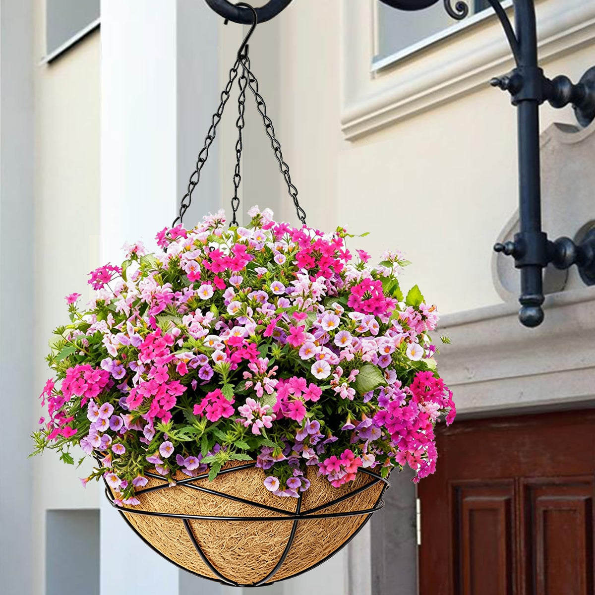 Karlliu four-pack ready for porch or patio greenery