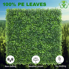 KASZOO lush leaves close-up emphasizing natural vibe and odor reduction after airing.