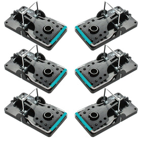 Kat Sense large rat trap set-6 front view in stainless steel for humane capture