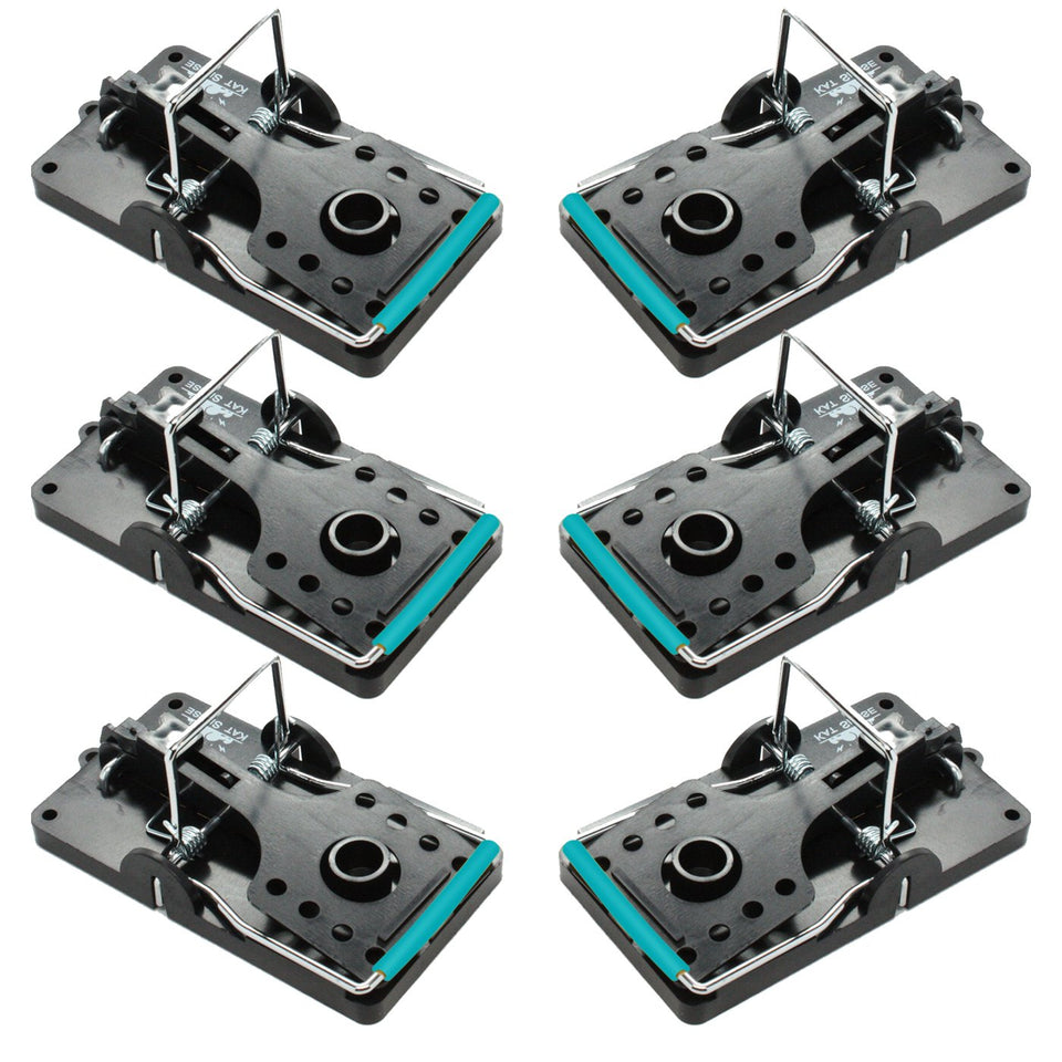 Kat Sense large rat trap set-6 front view in stainless steel for humane capture