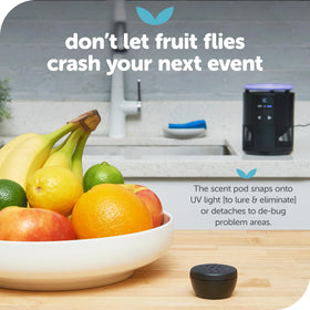 Katchy Duo glue board secures captured insects for disposal