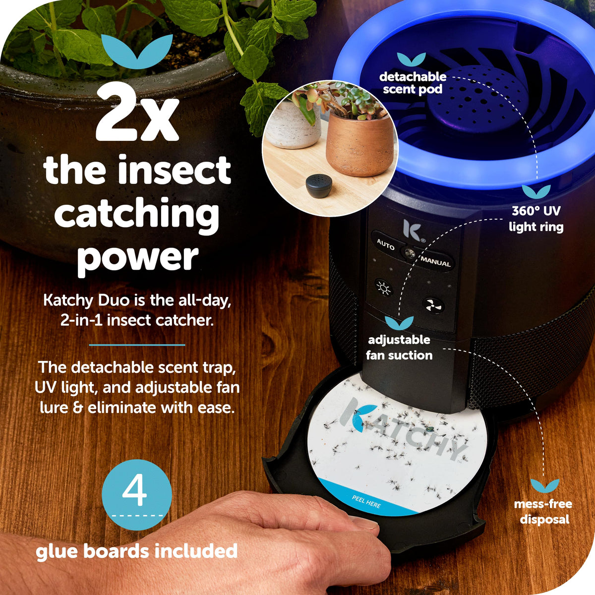 Katchy Duo scent pod lures fruit flies and gnats with scent