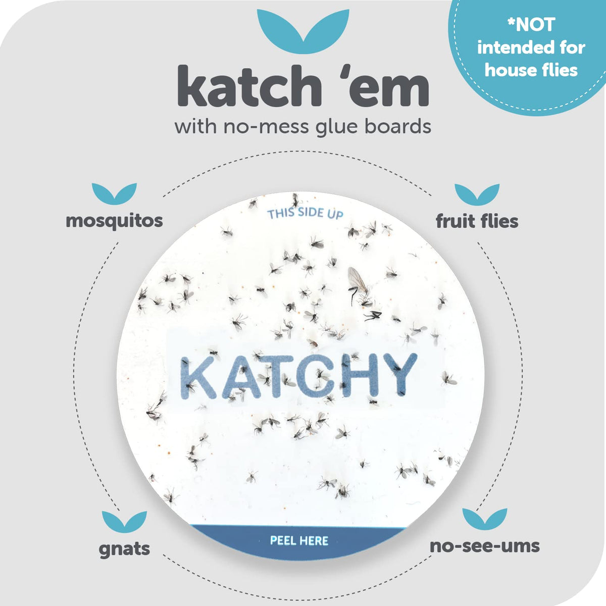 KATCHY glue board closeup sticky surface highlights strong adhesion for insects.