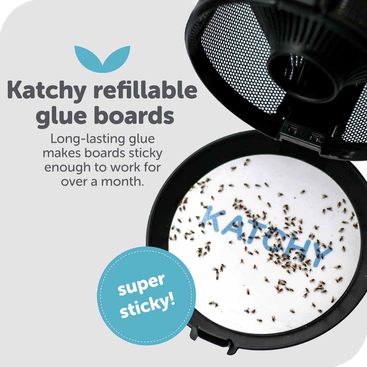 KATCHY Midnight glue board refill for automatic traps at night