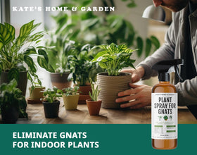 Weekly use supports ongoing gnat control for healthier plants with Kate's spray.